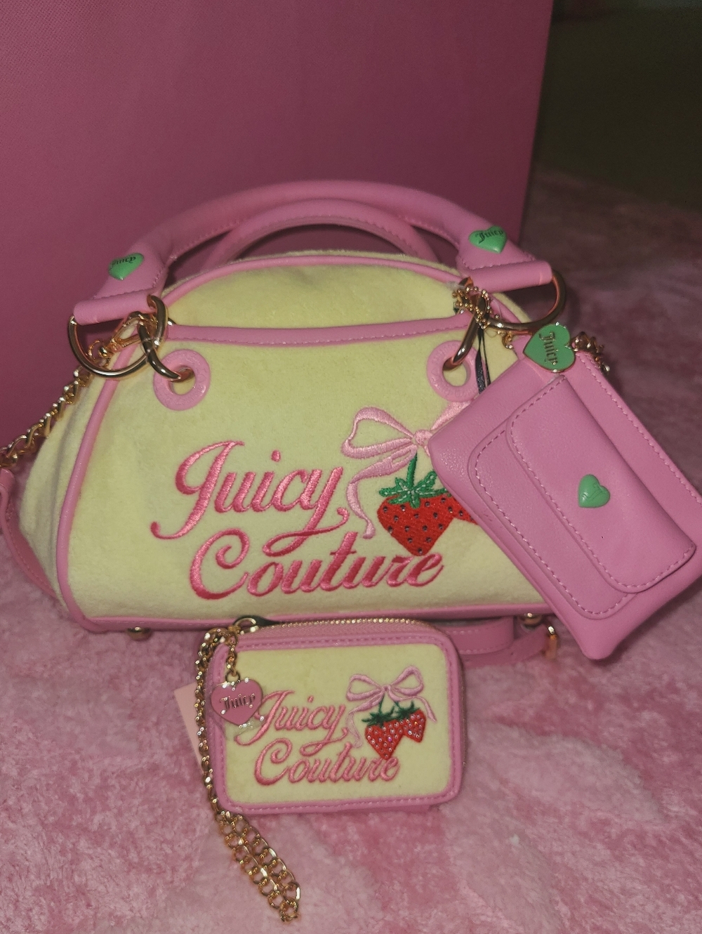 Juicy Couture Bag & Wallet Set 🍓